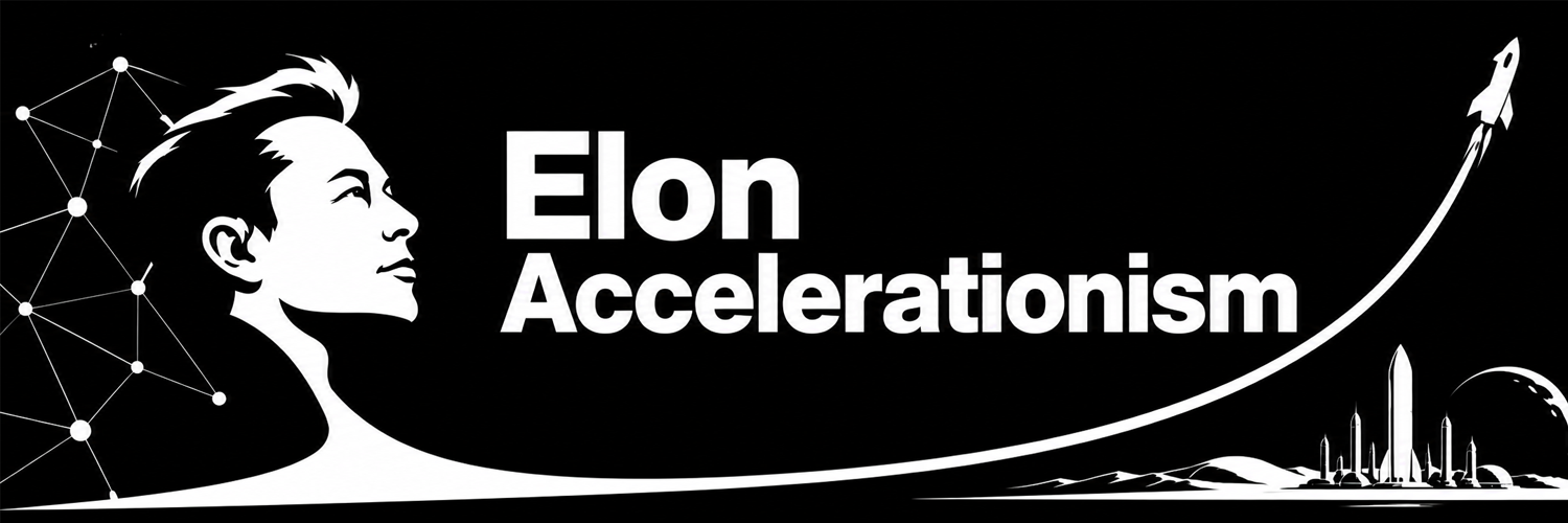 Elon Accelerationism banner